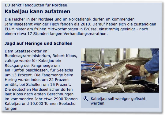 EU senkt Fangquoten für Nordsee: Kabeljau kann aufatmen
